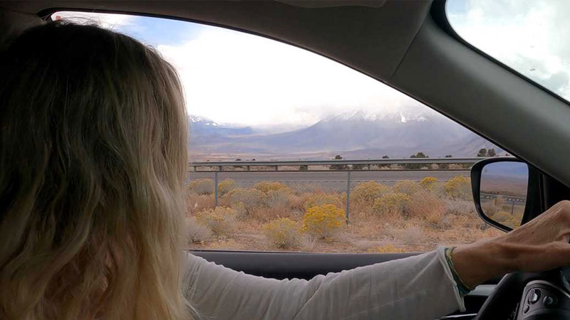 How Self-Drive Cars Give You Complete Travel Freedom